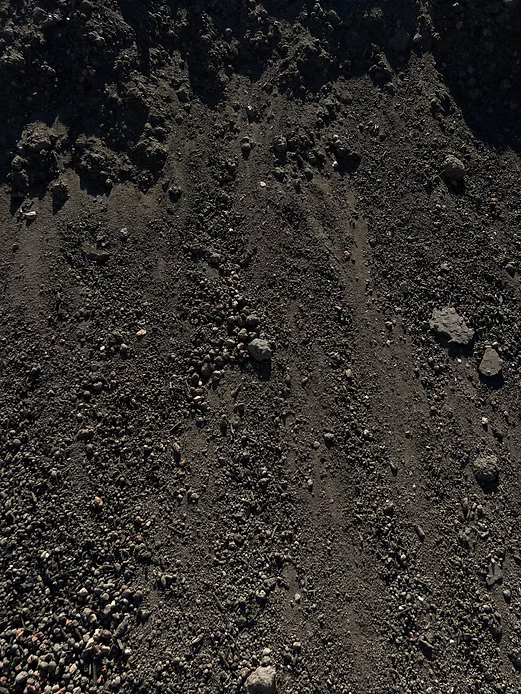 Potting Soil